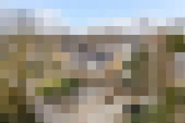 Jan Flintermanloane 4 Feanwâlden thumbnail 54