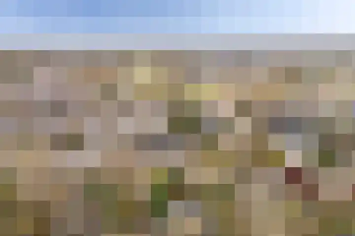 Jan Flintermanloane 4 Feanwâlden thumbnail 56