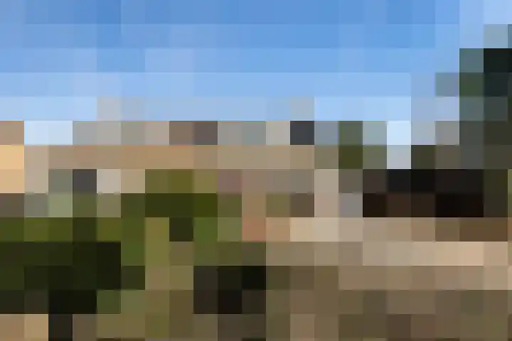 Jan Flintermanloane 4 Feanwâlden thumbnail 6