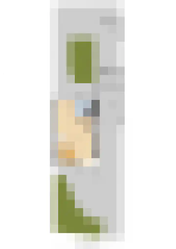 Jan Flintermanloane 4 Feanwâlden thumbnail 67