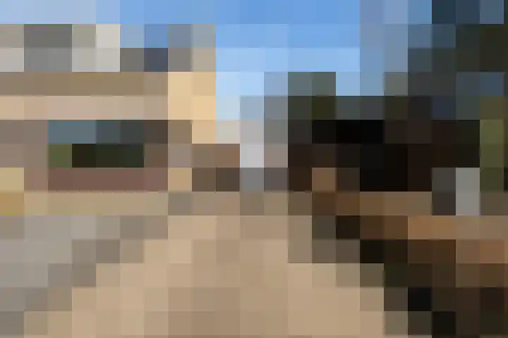 Jan Flintermanloane 4 Feanwâlden thumbnail 7
