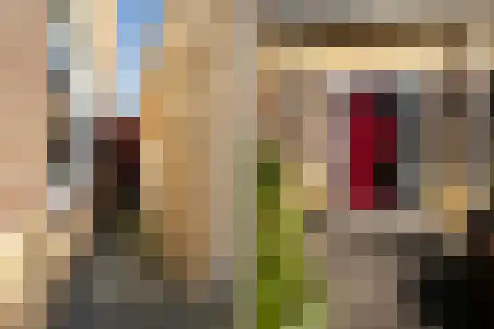 Jan Flintermanloane 4 Feanwâlden thumbnail 8