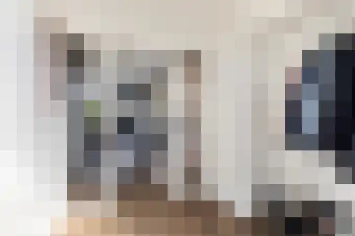 Jan Flintermanloane 4 Feanwâlden thumbnail 9