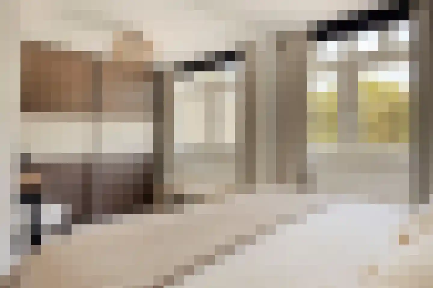 Jan Frankenstraat 104 Rosmalen thumbnail 22