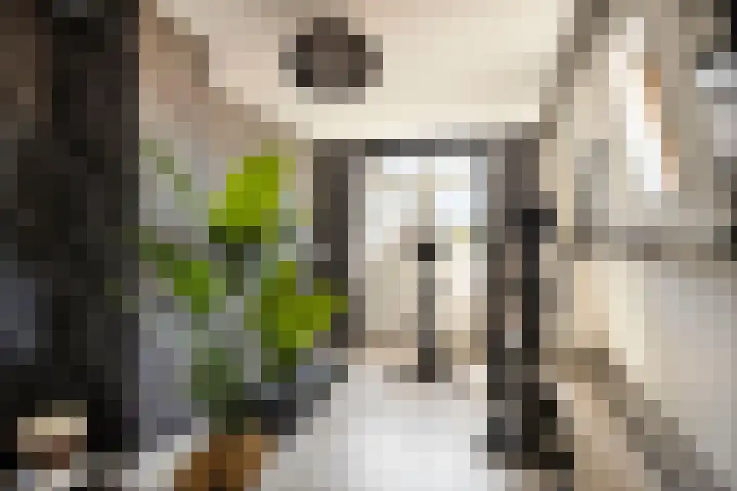 Jan Frankenstraat 104 Rosmalen thumbnail 26