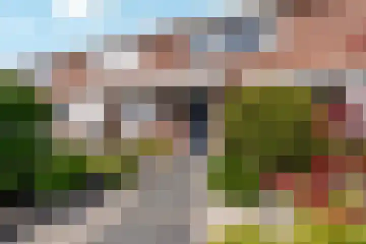 Jan Frankenstraat 110 Rosmalen thumbnail 30