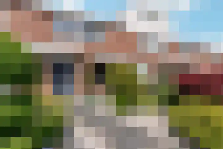 Jan Frankenstraat 110 Rosmalen thumbnail 31
