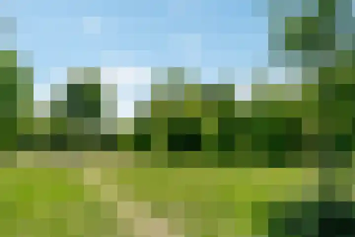 Jan Frankenstraat 110 Rosmalen thumbnail 37