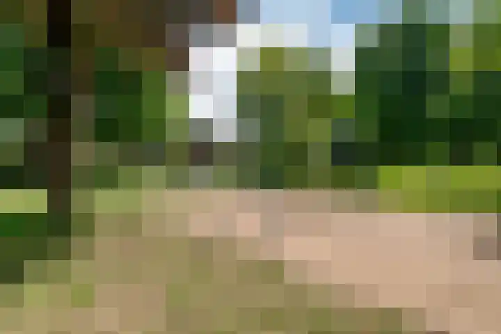 Jan Frankenstraat 110 Rosmalen thumbnail 39