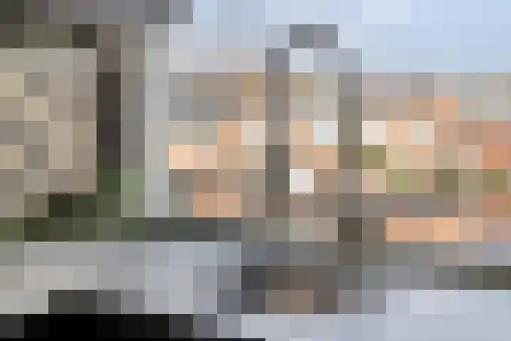Jan Frankenstraat 20 Rosmalen thumbnail 12