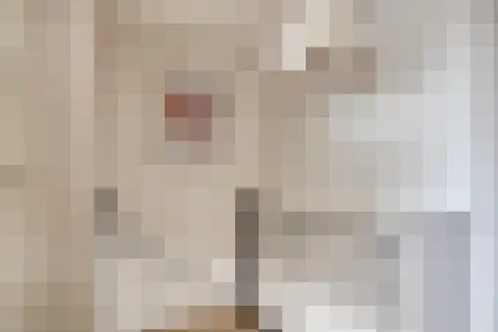 Jan Frankenstraat 20 Rosmalen thumbnail 15