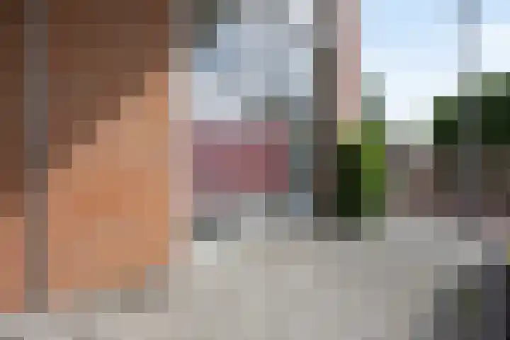 Jan Frankenstraat 26 Rosmalen thumbnail 20