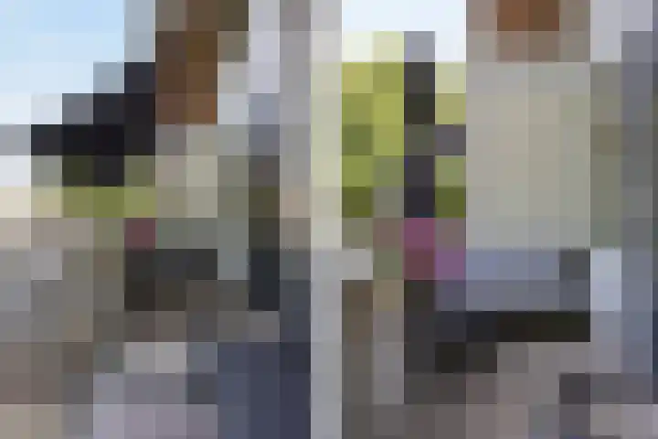 Jan Frankenstraat 26 Rosmalen thumbnail 4