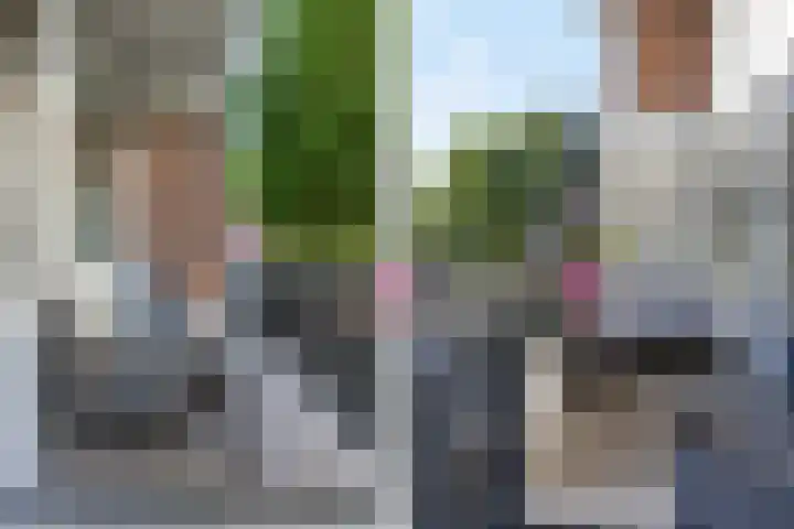 Jan Frankenstraat 26 Rosmalen thumbnail 9