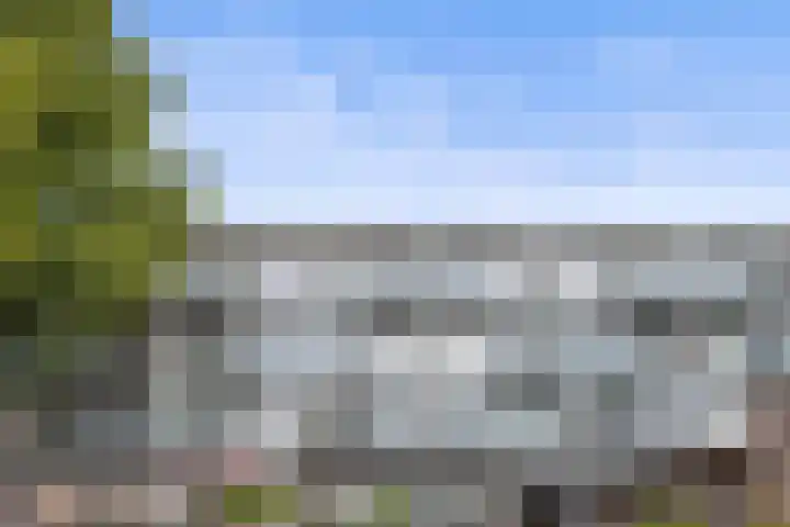 Jan Frankenstraat 44 Rosmalen thumbnail 23