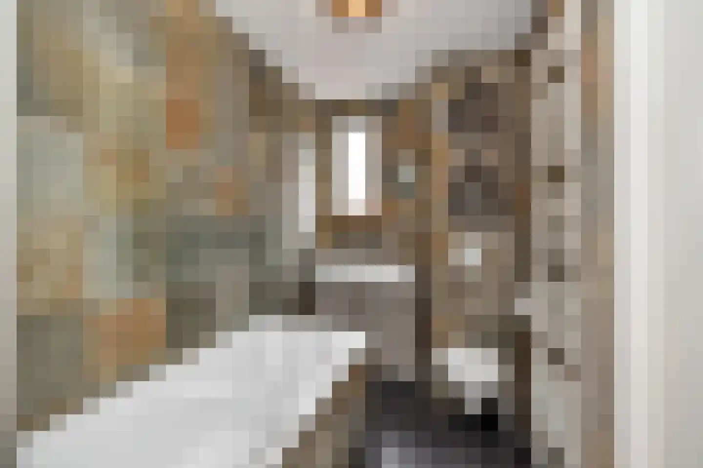 Jan Frankenstraat 52 Rosmalen thumbnail 24