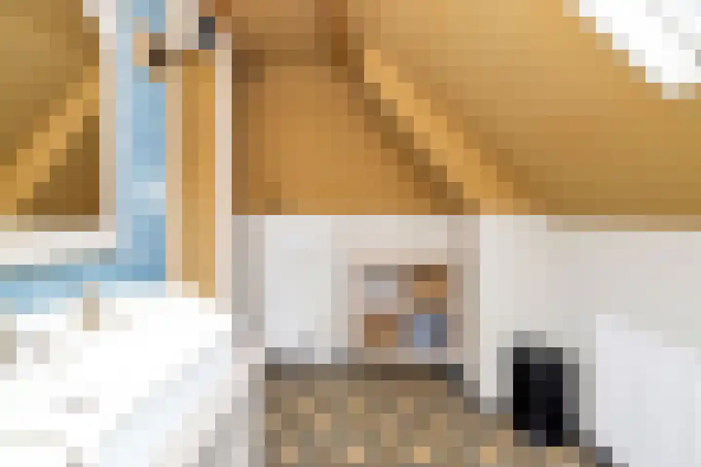 Jan Frankenstraat 52 Rosmalen thumbnail 27