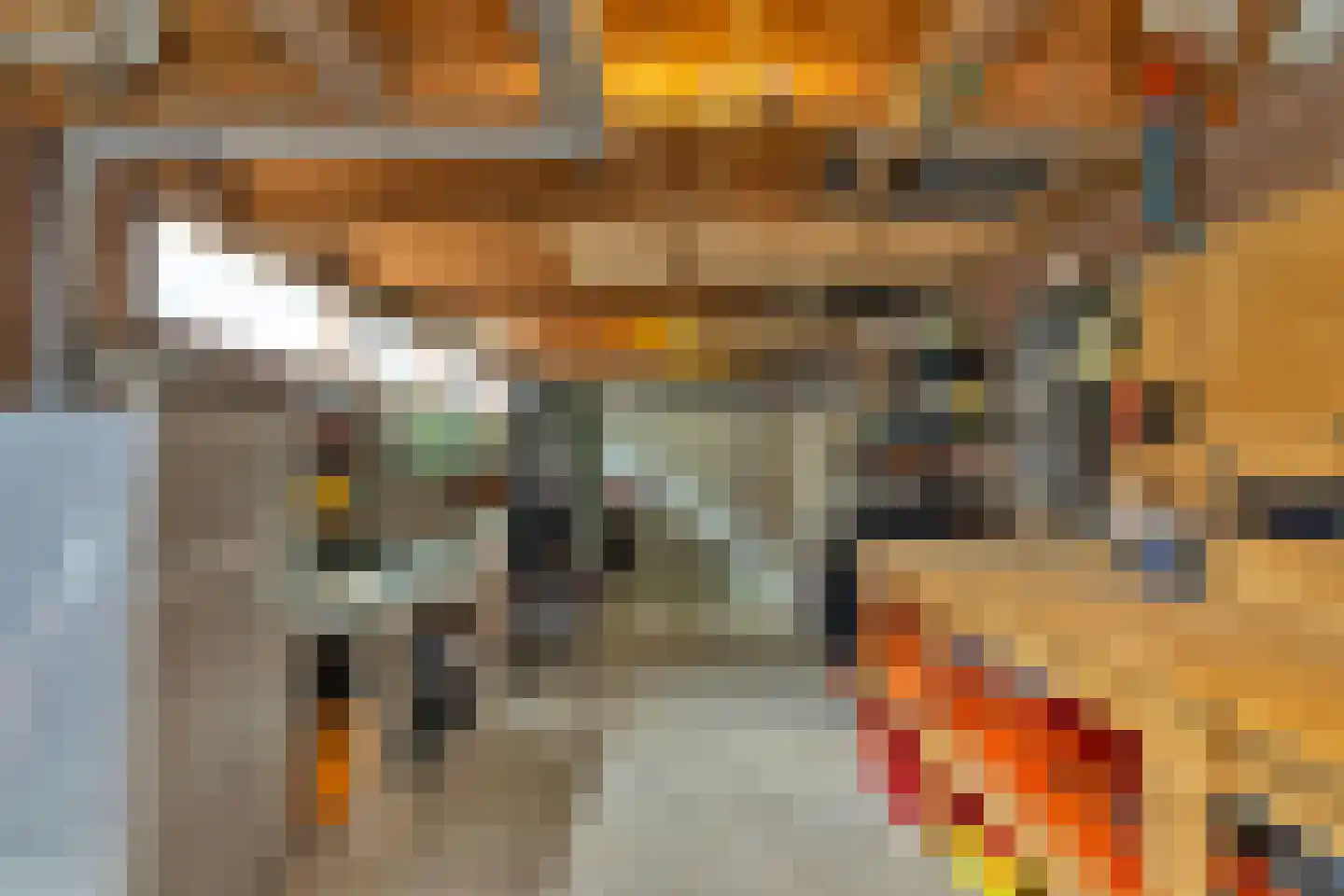 Jan Frankenstraat 52 Rosmalen thumbnail 62