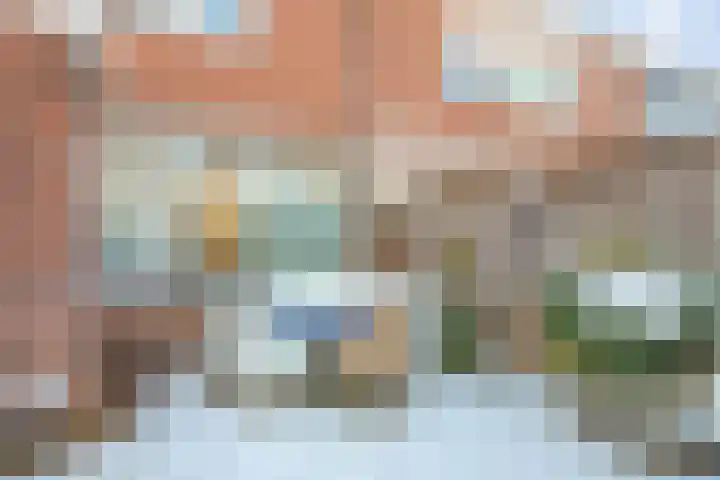Jan Frankenstraat 64 Rosmalen thumbnail 31