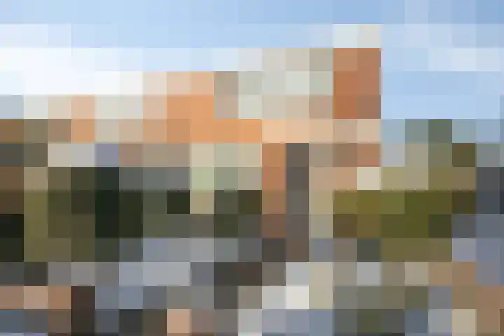 Jan Frankenstraat 64 Rosmalen thumbnail 5