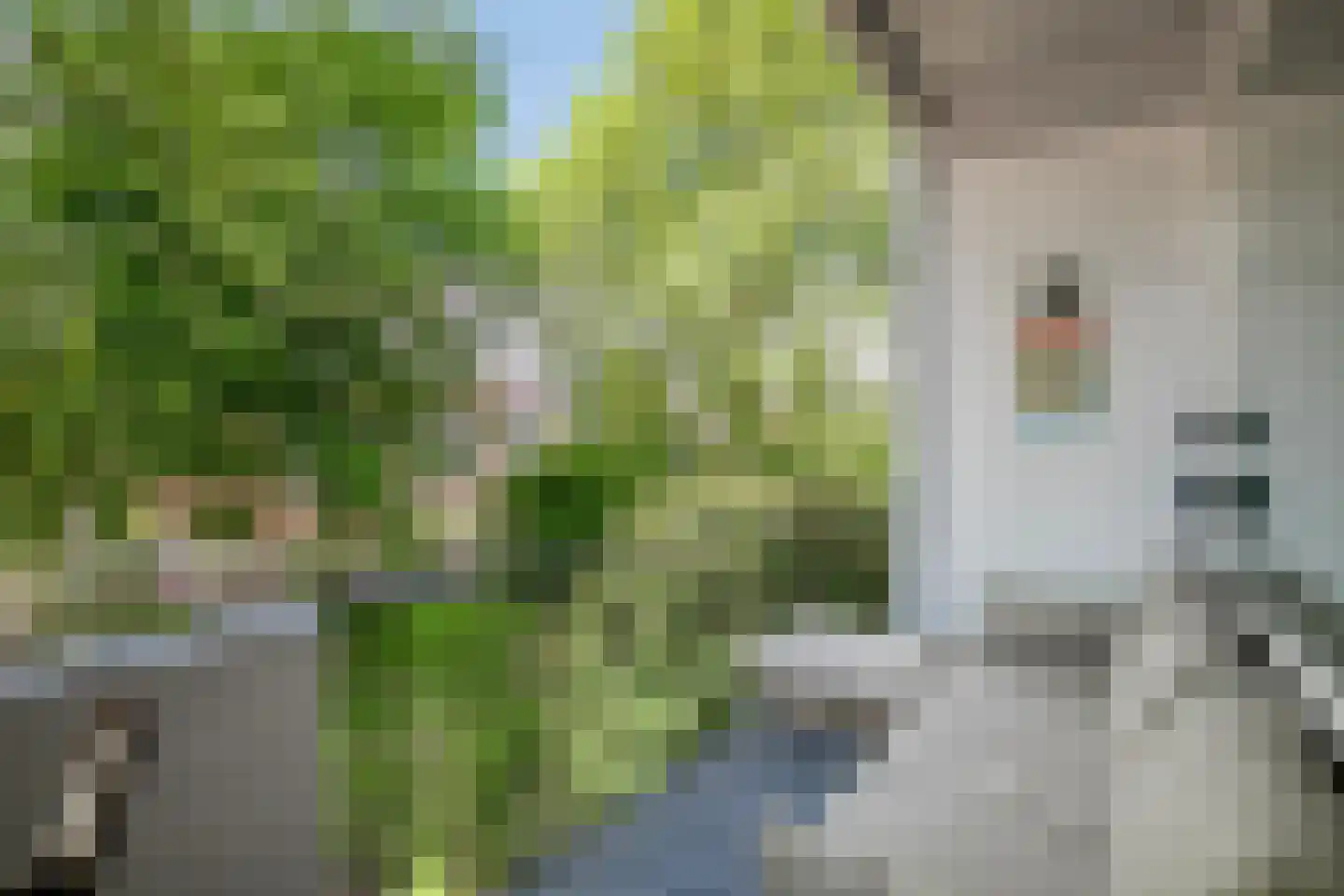 Jan Frankenstraat 8 Rosmalen thumbnail 11