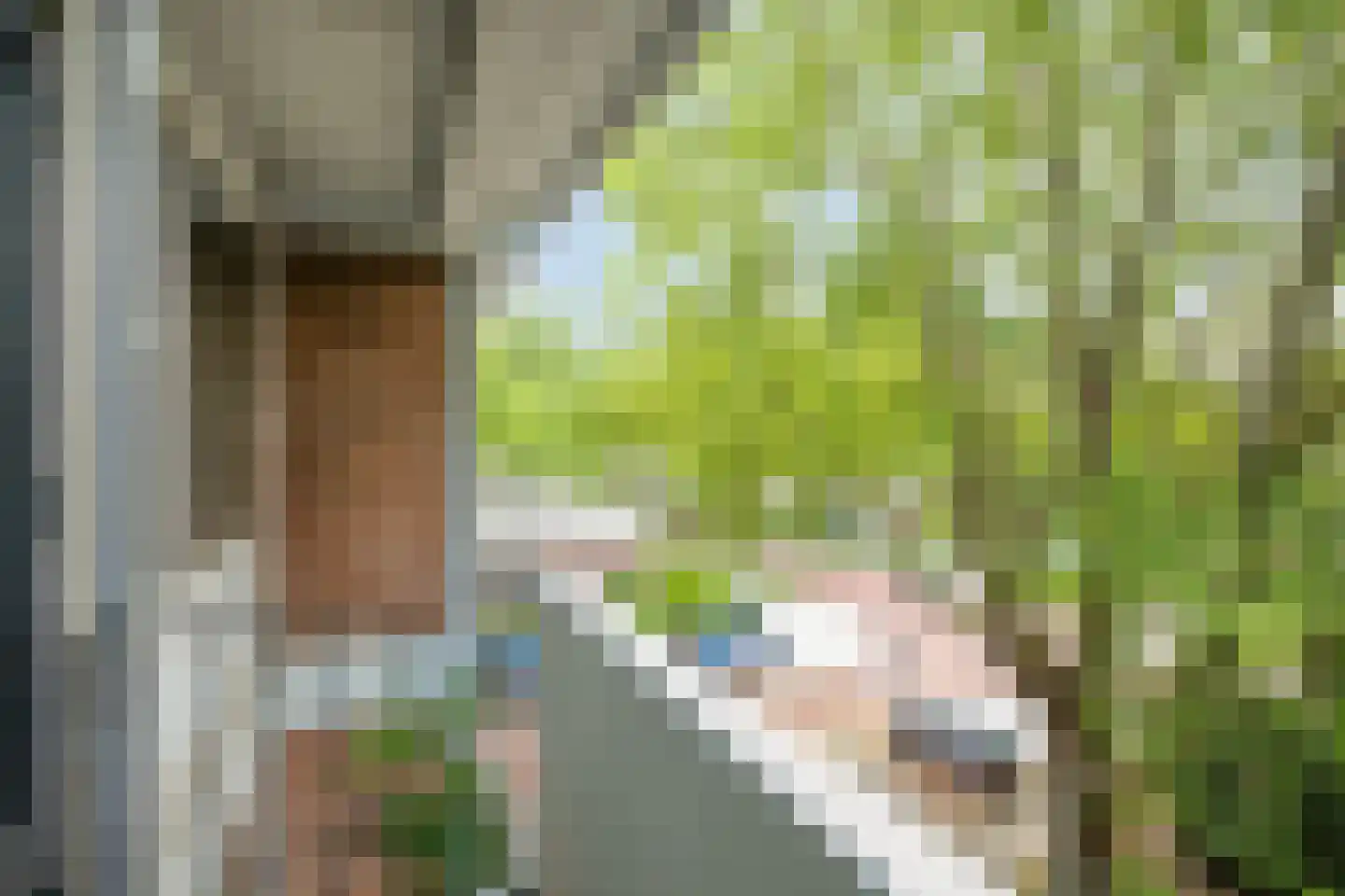 Jan Frankenstraat 8 Rosmalen thumbnail 12