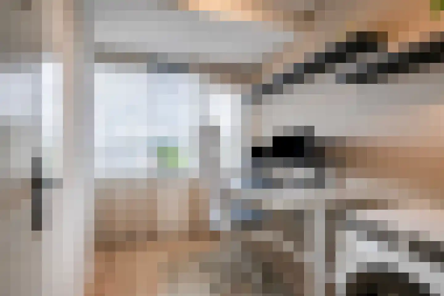 Jan Frankenstraat 8 Rosmalen thumbnail 29