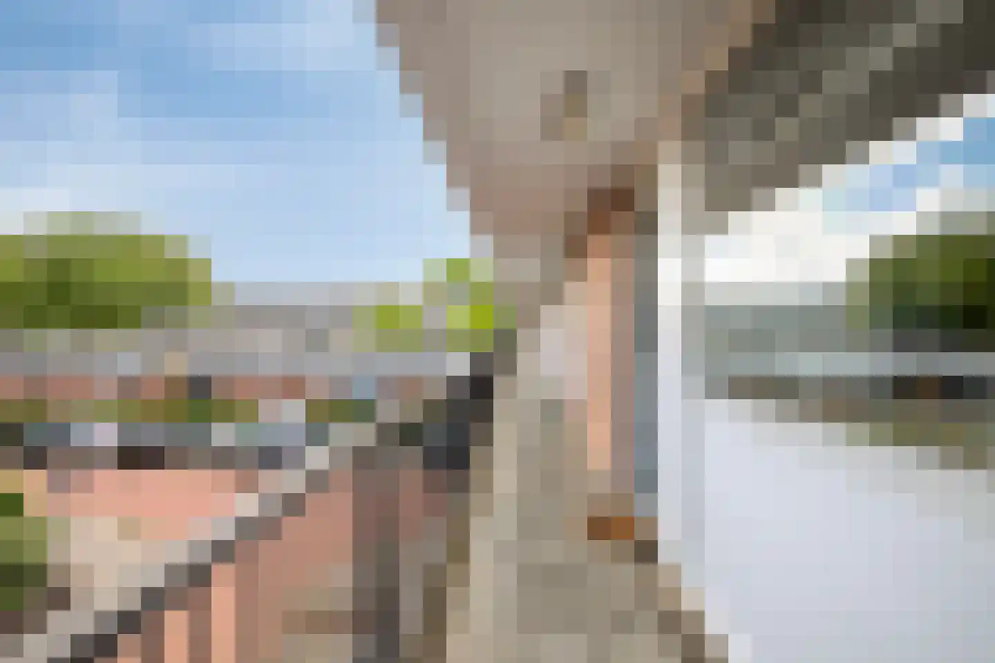 Jan Frankenstraat 8 Rosmalen thumbnail 33