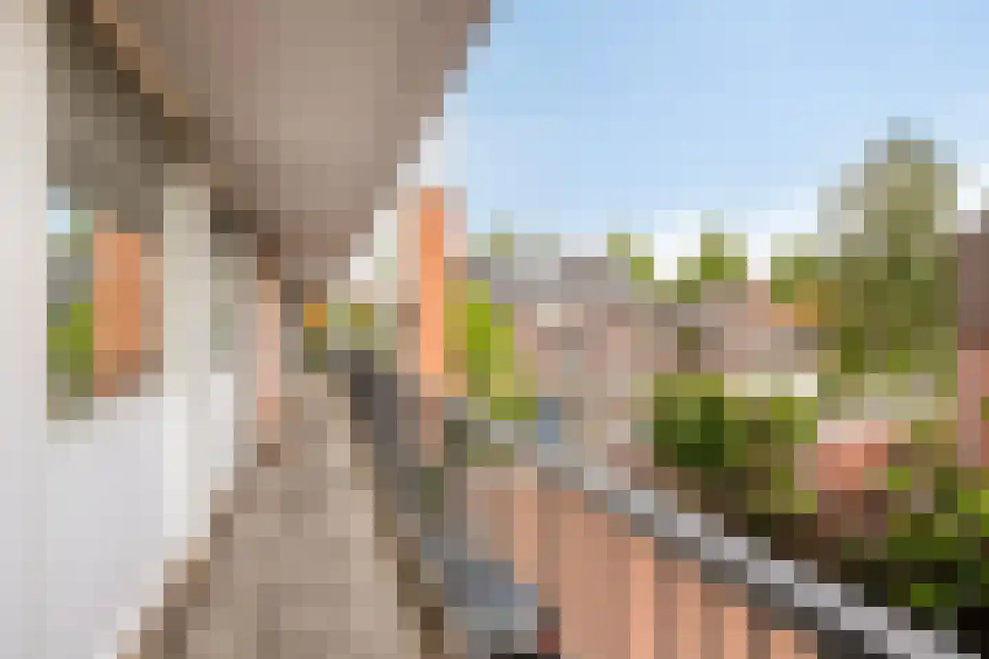 Jan Frankenstraat 8 Rosmalen thumbnail 34