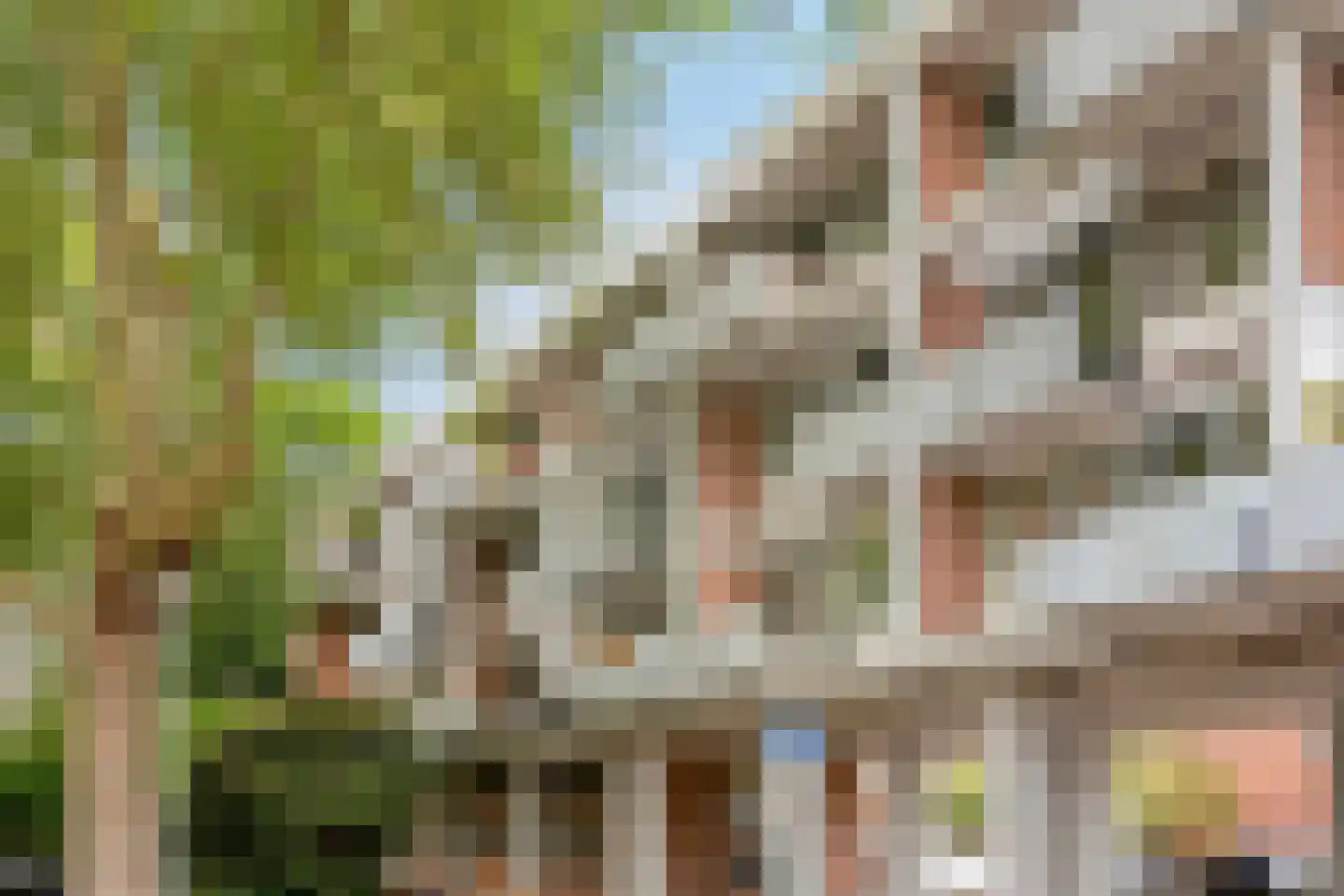 Jan Frankenstraat 8 Rosmalen thumbnail 39