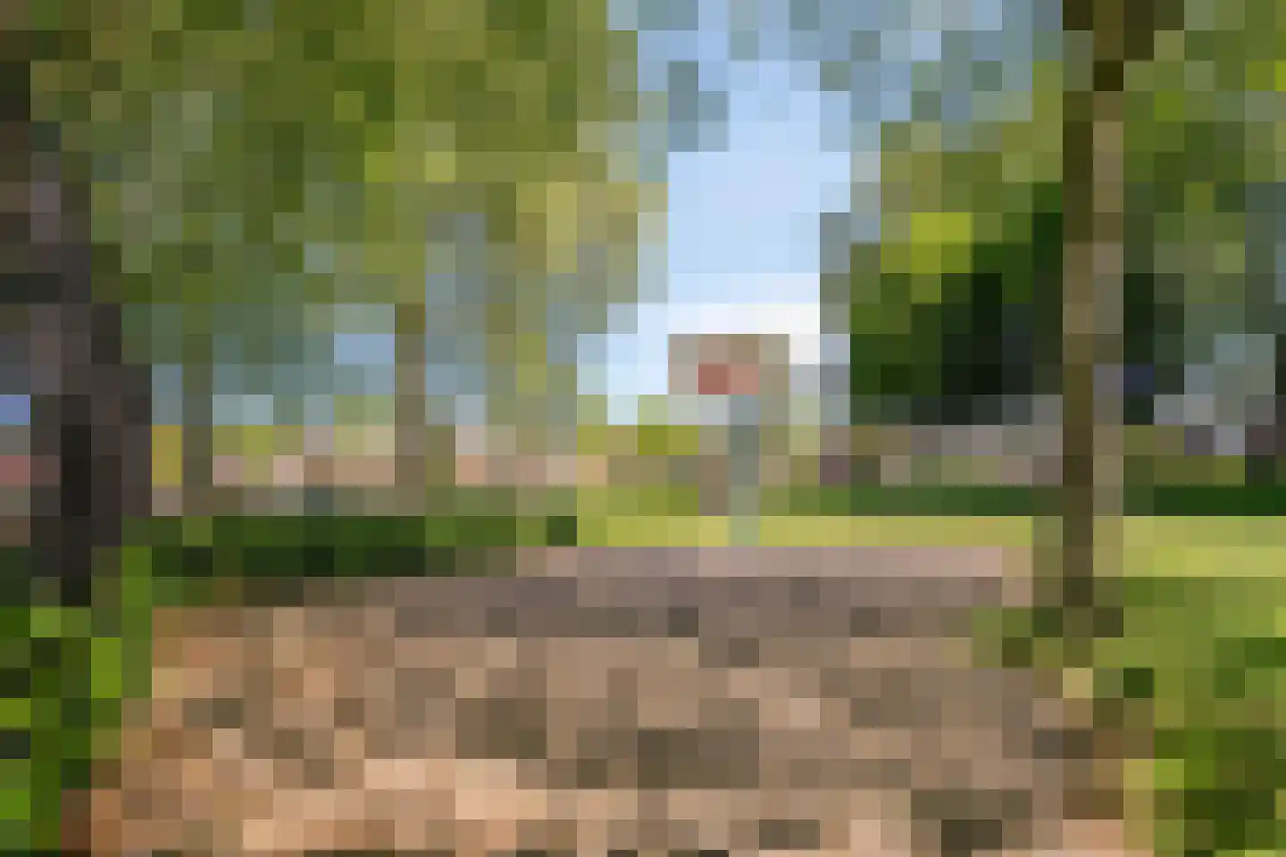 Jan Frankenstraat 8 Rosmalen thumbnail 42
