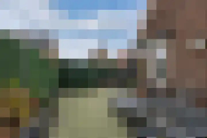 Jan Gelinde van Blomstraat 11 Drachten thumbnail 19