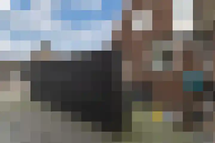 Jan Gelinde van Blomstraat 11 Drachten thumbnail 20