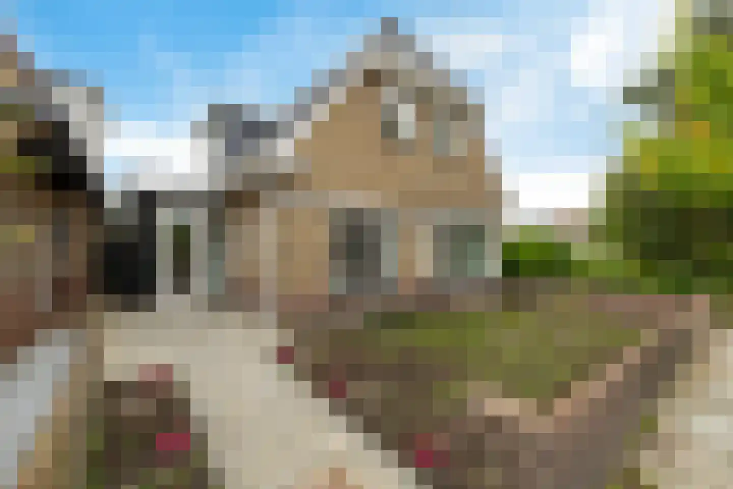 Jan Gelinde van Blomstraat 24 Drachten