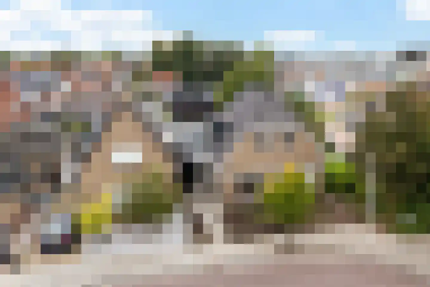 Jan Gelinde van Blomstraat 24 Drachten thumbnail 16
