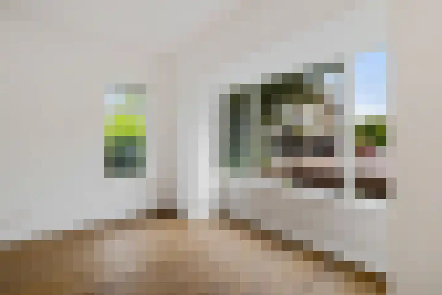 Jan Gelinde van Blomstraat 24 Drachten thumbnail 22