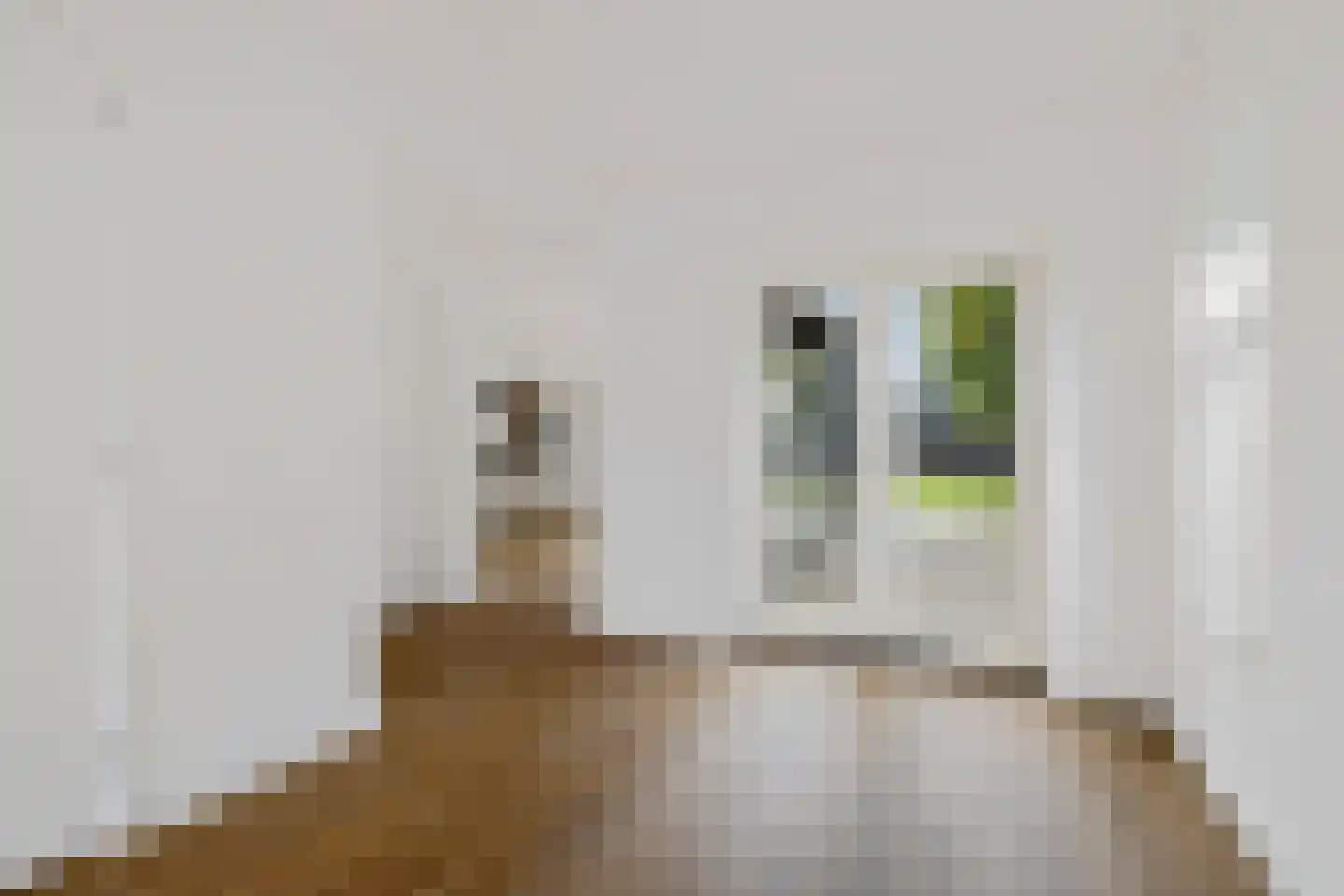 Jan Gelinde van Blomstraat 24 Drachten thumbnail 26