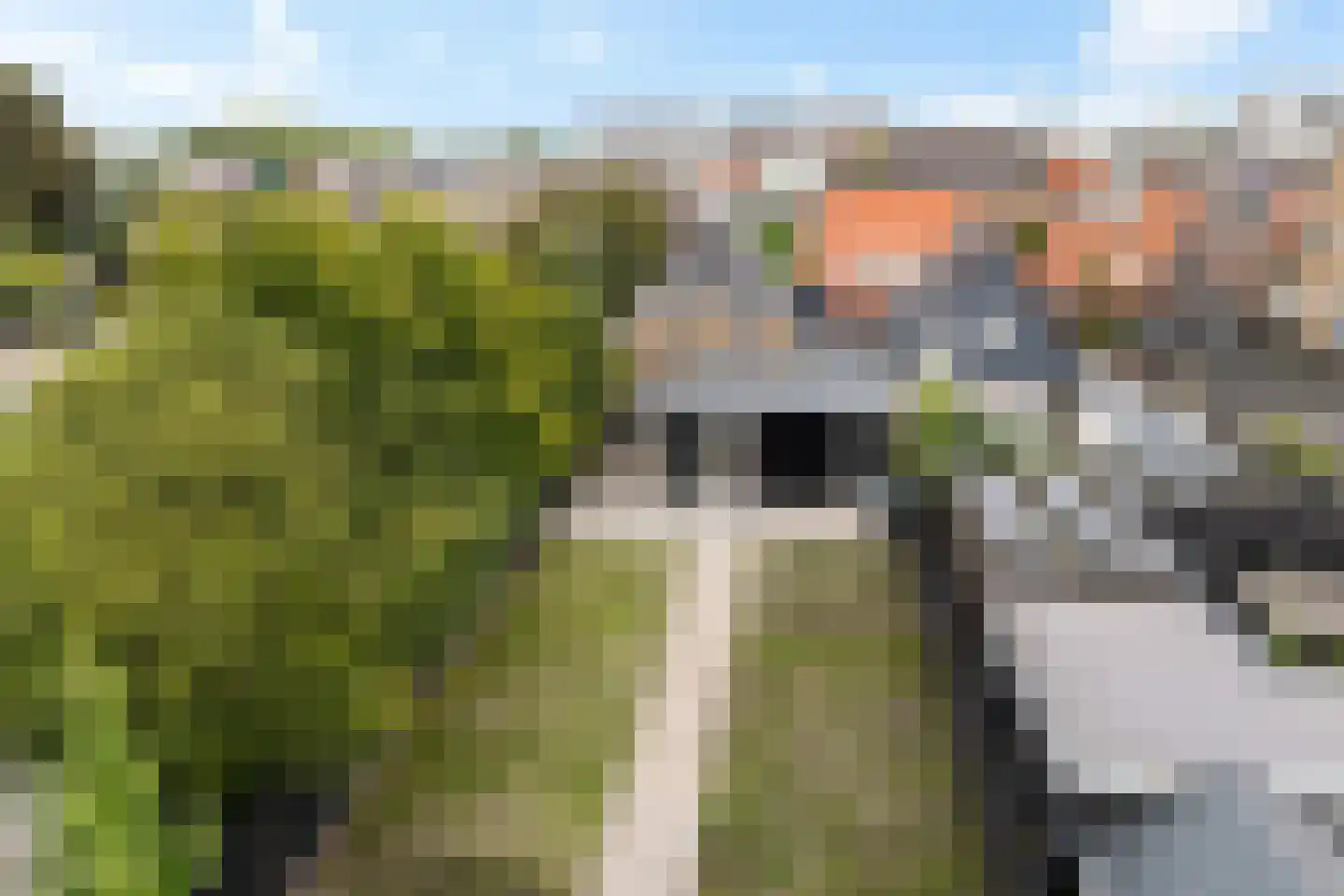 Jan Gelinde van Blomstraat 24 Drachten thumbnail 4