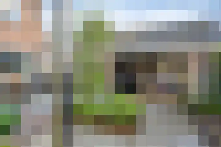 Jan Gelinde van Blomstraat 30 Drachten thumbnail 51