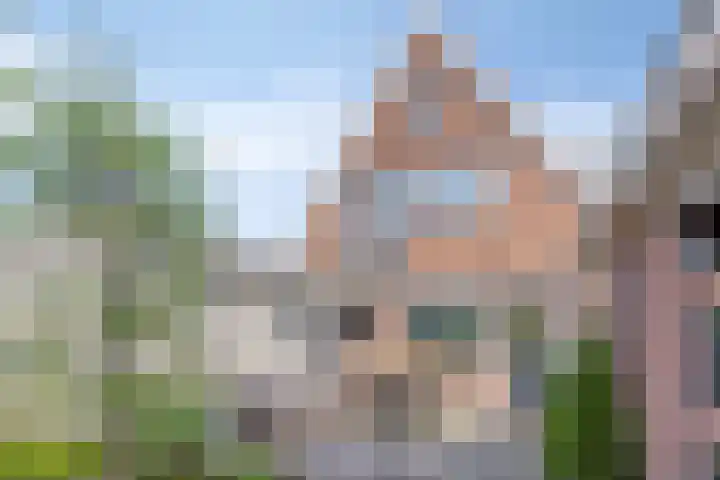 Jan Gelinde van Blomstraat 30 Drachten thumbnail 54