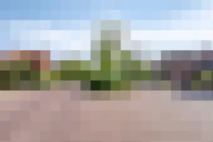 Jan Gelinde van Blomstraat 30 Drachten thumbnail 56