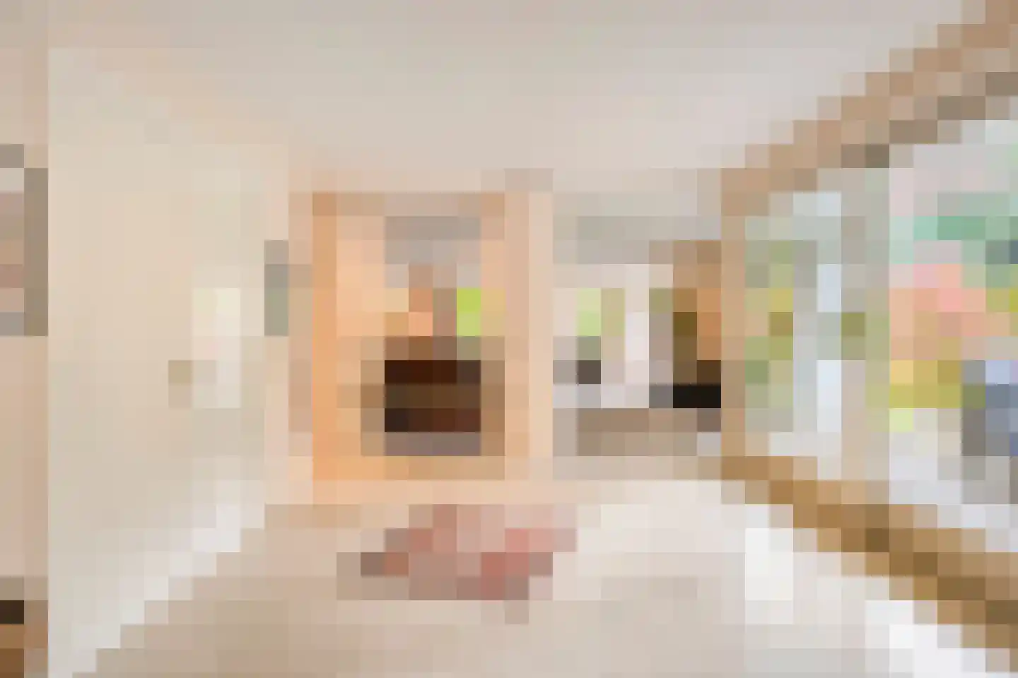 Jan Gielenlaan 32 Eindhoven thumbnail 27