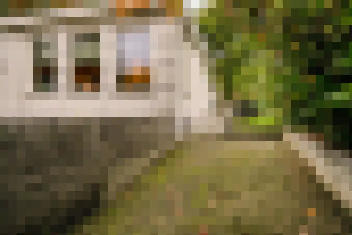 Jan Gielenlaan 32 Eindhoven thumbnail 60