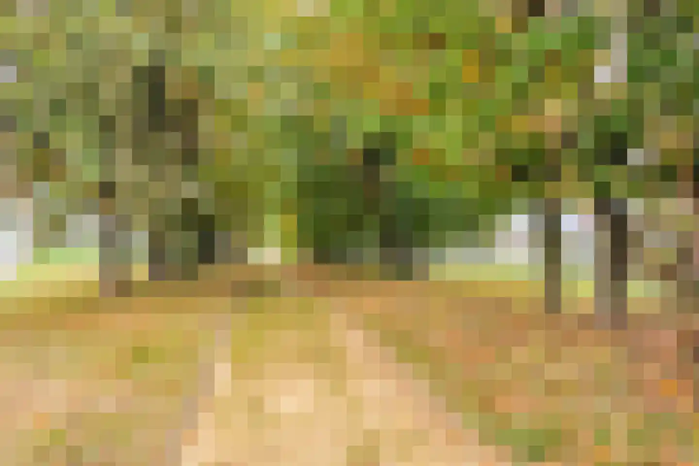 Jan Gielenlaan 32 Eindhoven thumbnail 69