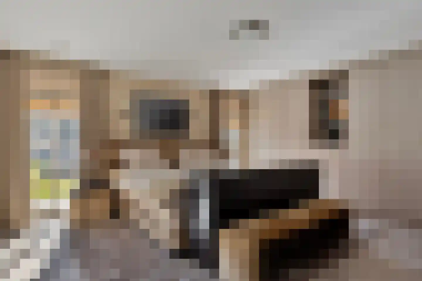Jan Gielenlaan 36 Eindhoven thumbnail 11
