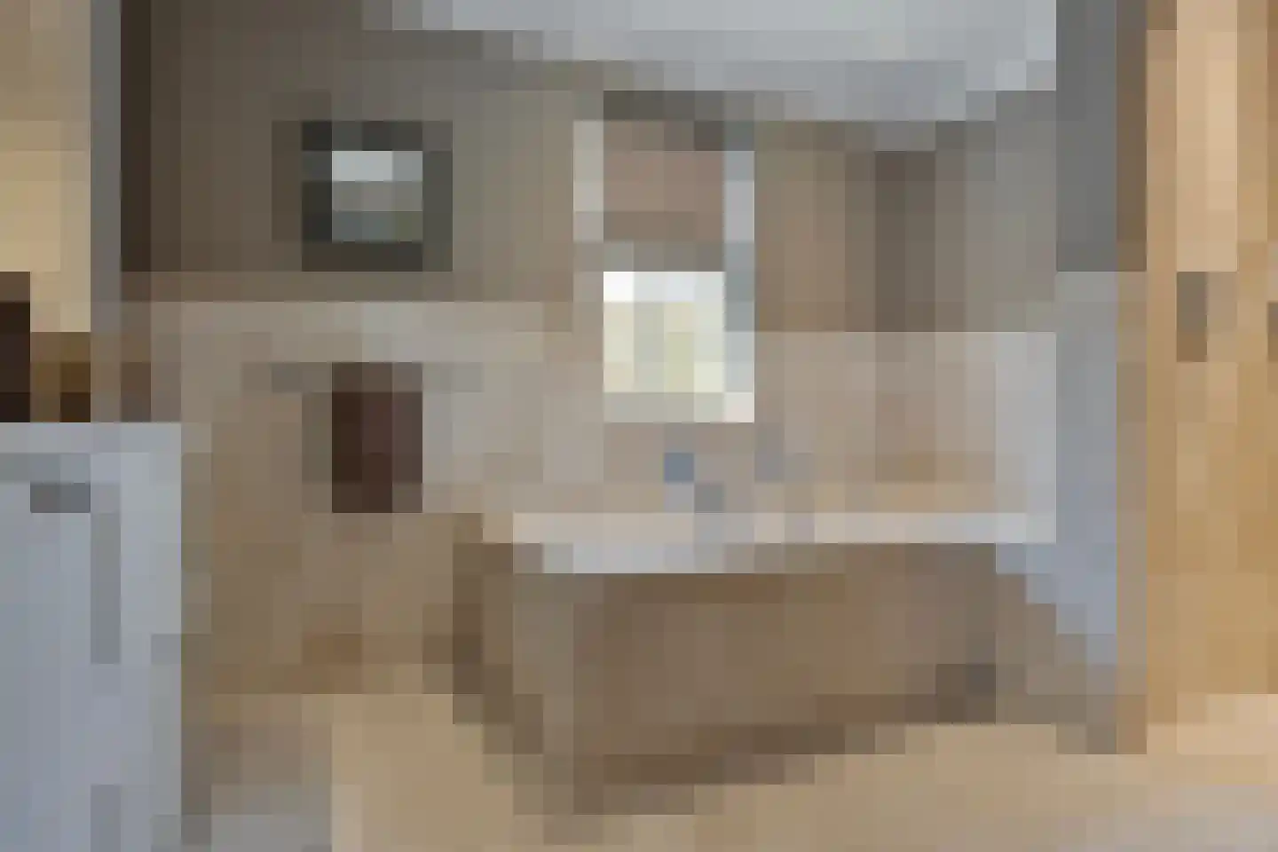 Jan Gielenlaan 36 Eindhoven thumbnail 13