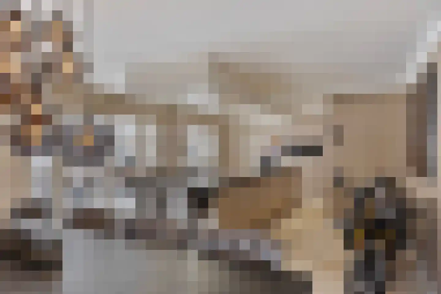 Jan Gielenlaan 36 Eindhoven thumbnail 7