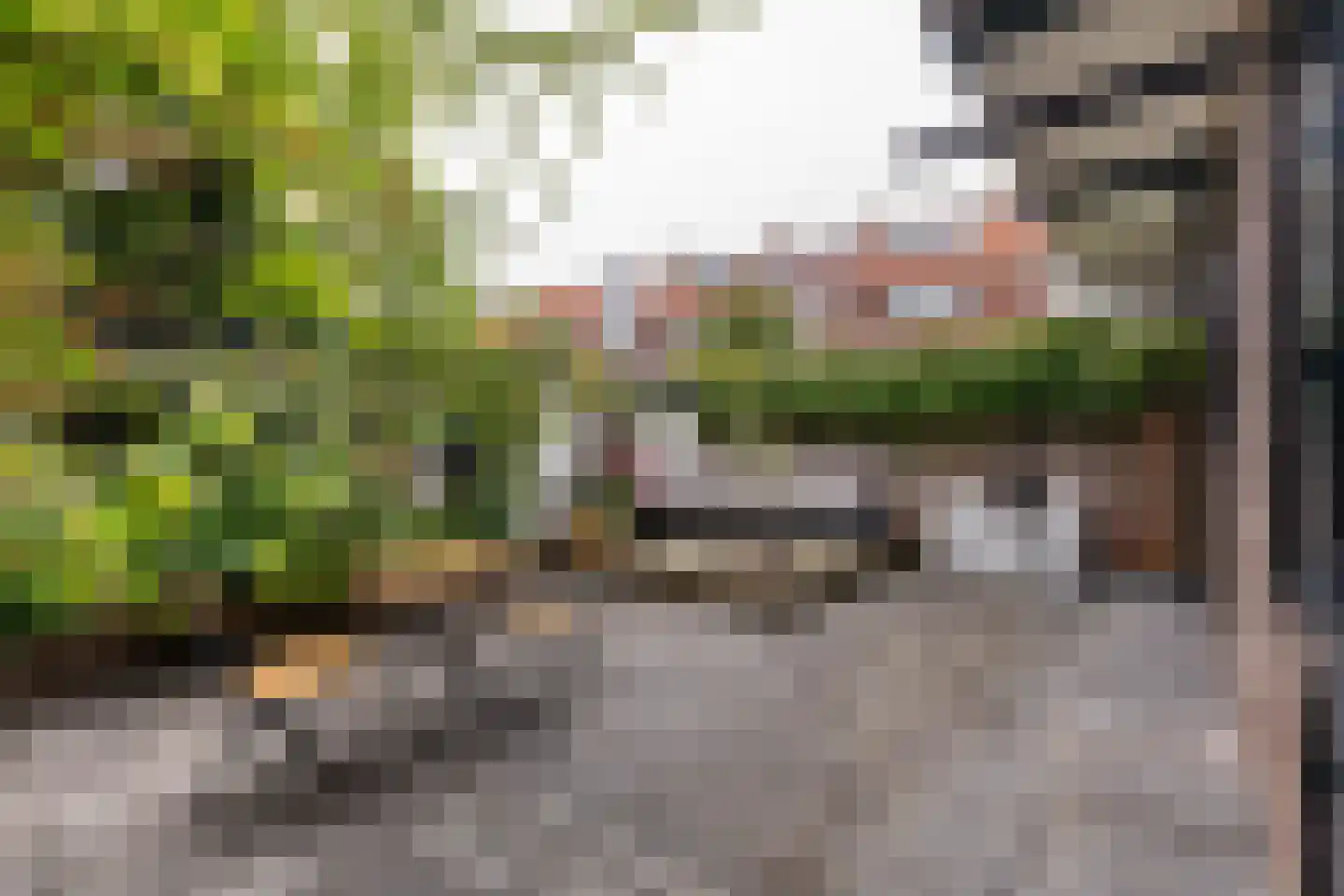 Jan Gijzenkade 11 Haarlem thumbnail 11