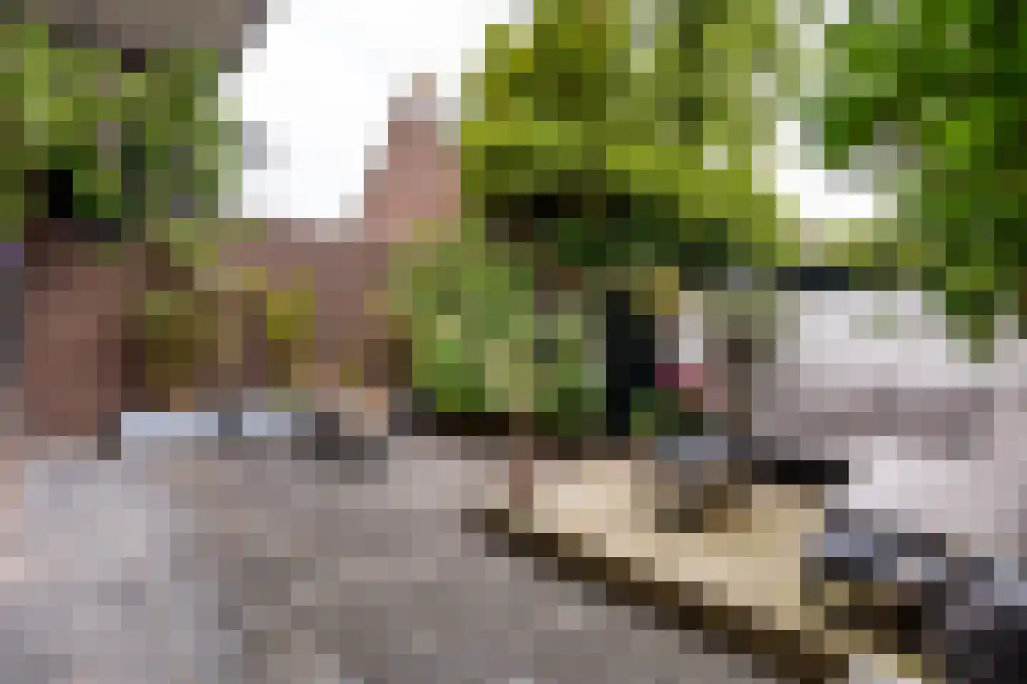 Jan Gijzenkade 11 Haarlem thumbnail 12