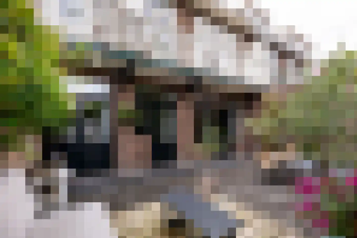 Jan Gijzenkade 11 Haarlem thumbnail 13
